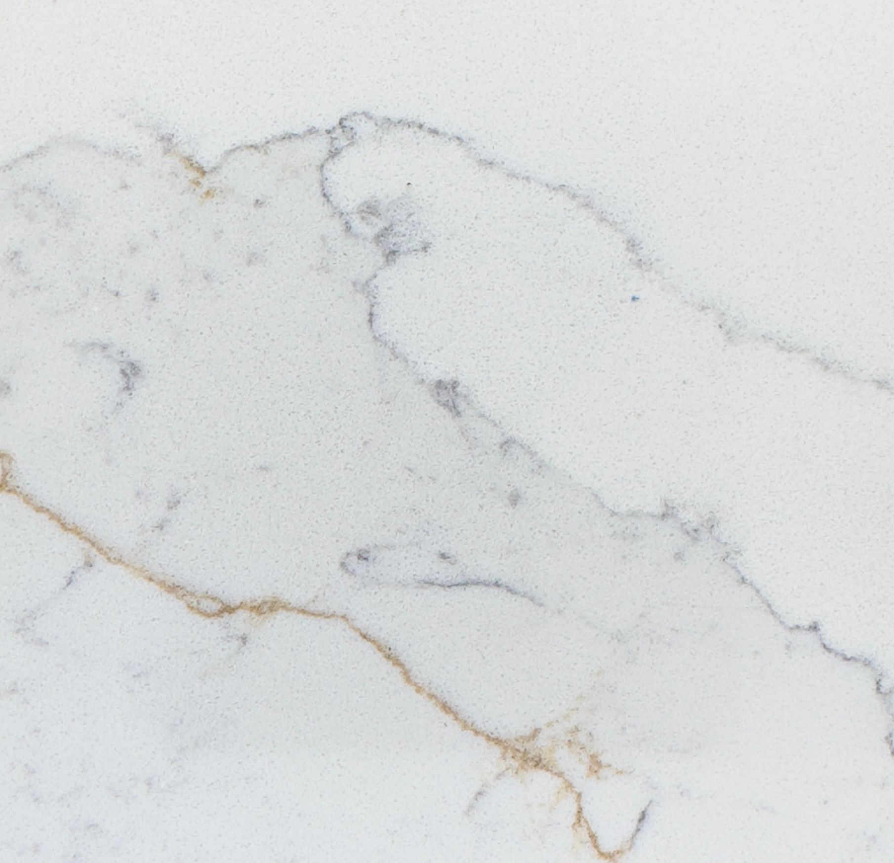 Calacatta Divine