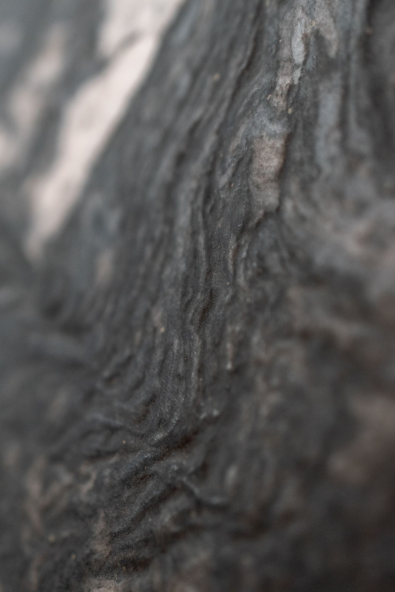 Leather